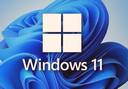 win11Сô